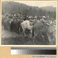 藏品(湘北大捷：我騎兵隊在此役中曾獲殊勳)的圖片